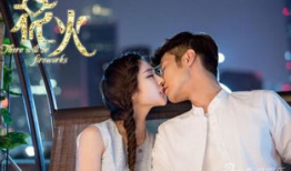 花火电视剧演员,青春燃烧的璀璨星辰