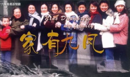 家有九凤电视剧,九姐妹的欢乐生活传奇