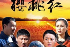 向阳花开电视剧,温暖岁月里的青春传奇