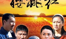 向阳花开电视剧,温暖岁月里的青春传奇