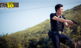 警察锅哥电视剧全集免费观看,揭秘警界传奇，正义与智慧的较量