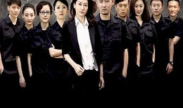 中国刑警电视剧,正义之光，破案之路