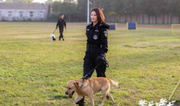 电视剧警犬与警花,生死搭档，守护正义的守护神
