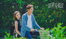 爱情的电视剧,一部描绘爱情百态的电视剧