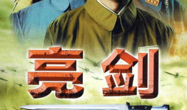 亮剑电视剧在线观看,重温抗战英雄传奇，在线观看红色经典
