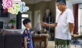 淘气爷孙电视剧,温馨岁月里的欢乐传奇