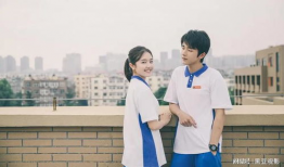 青春剧校园恋爱电视剧,心动旋律下的青春足迹