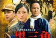 电视剧黑三角,揭秘神秘组织背后的惊心动魄