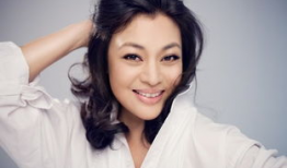 史可电视剧,传奇人生，烽火岁月