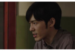 电视剧真相,揭开尘封的谜团，探寻正义之路