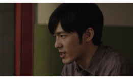 电视剧真相,揭开尘封的谜团，探寻正义之路