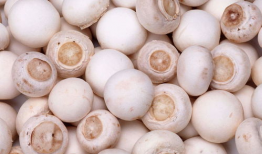 17c吃瓜黑蘑菇爆料,揭秘娱乐圈不为人知的幕后故事