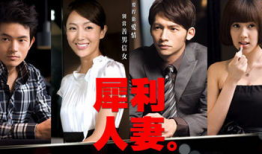 犀利人妻电视剧,婚姻的华丽逆袭