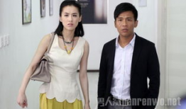 向阳花开电视剧,温暖岁月里的青春传奇