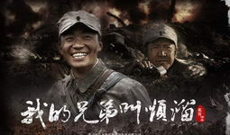 我的兄弟叫顺溜电视剧,兄弟情深，烽火青春