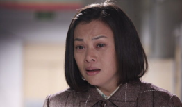 史可电视剧,传奇人生，烽火岁月