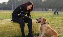 电视剧警犬与警花,生死搭档，守护正义的守护神