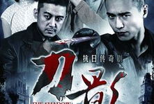 刀影电视剧全集,暗夜杀手传奇