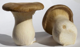 17c吃瓜黑蘑菇爆料,揭秘娱乐圈不为人知的幕后故事