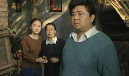 张大民的幸福生活电视剧,平凡人生中的温馨篇章