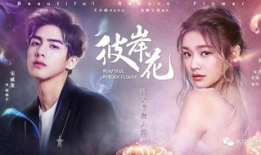 花电视剧,绽放的青春，梦想的翅膀