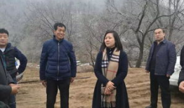 电视剧南泥湾,烽火岁月里的希望田野