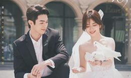 好看的都市爱情电视剧,爱在灯火阑珊处