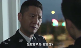 警察锅哥电视剧全集免费观看,揭秘警界传奇，正义与智慧的较量