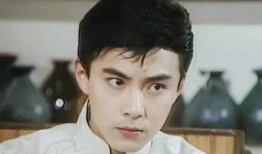 张卫健电视剧,笑傲江湖，情动岁月