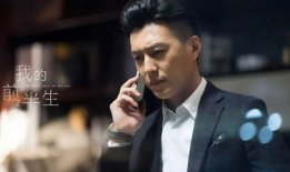 靳东主演的电视剧有哪些,靳东主演电视剧作品概览