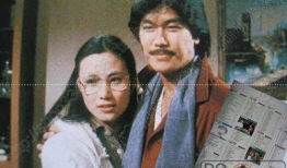 电视剧香港电视剧,香港电视剧的辉煌历程与时代印记