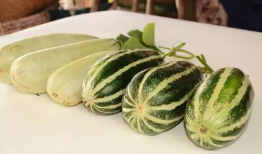 网红吃瓜爆料大全图片,揭秘娱乐圈幕后真相