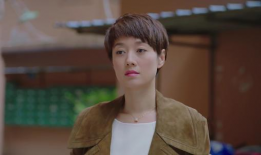 罗子君是什么电视剧,从家庭主妇到职场女性的逆袭之路