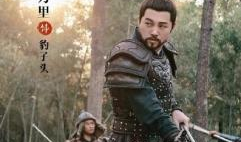 将军的电视剧,铁血丹心，战火纷飞